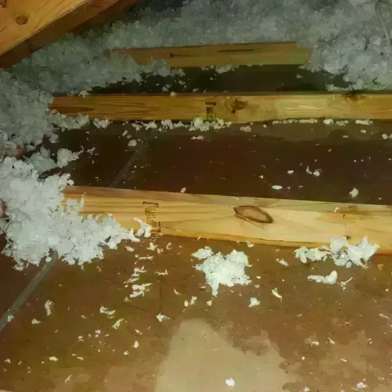 Attic Water Damage in Rome, WI